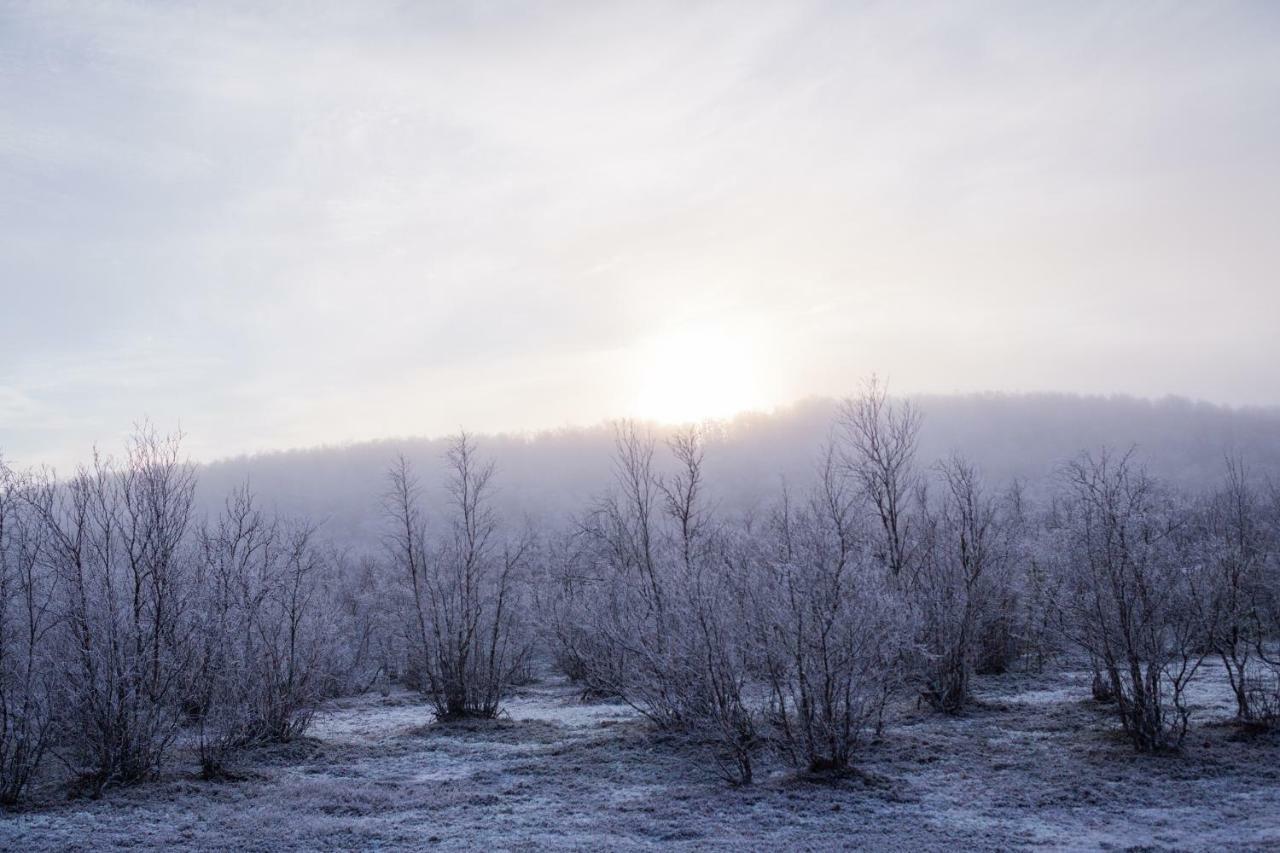 Villa Lohi-Aslakin Lomamoekit Utsjoki Esterno foto
